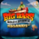 Big Bass Hold & Spinner Megaways spelafbeelding